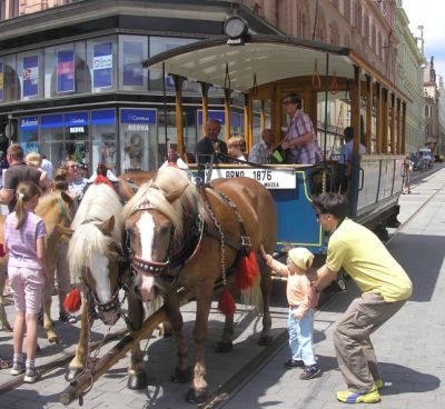 Na sobotu 7. června 2008 připravil Dopravní podnik města Brna