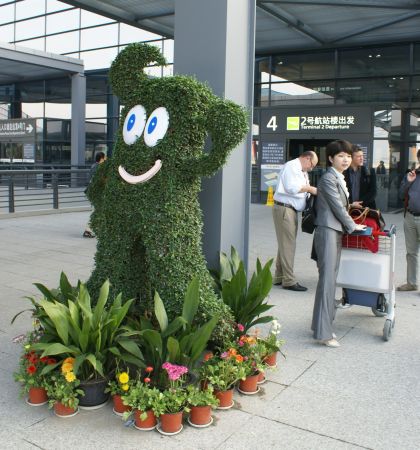 Pohlednice z Číny II. Cestujeme z Šanghaje do Zhengzhou