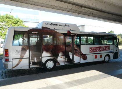 ZOOBUSy DPÚK pro pražskou ZOO se už převlékly do zvířecího