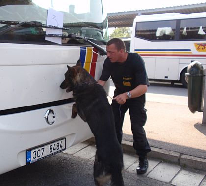 11 autobusů k pro VIII. ročník soutěže psovodů a služebních psů 