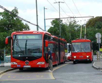 Pohlednice z Bratislavy - kloubové autobusy z Mannheimu i Libchav