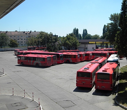 Další červený  'cafe' autobus najdete v Bratislavě