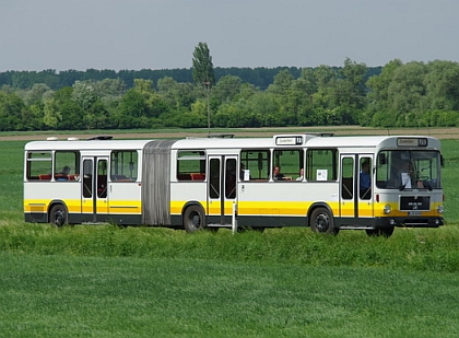 Ze srazu historických autobusů v německém Sinsheimu a  Speyeru  X.