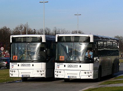 Pohlednice z Balkánu I. Bělehradské  autobusy 