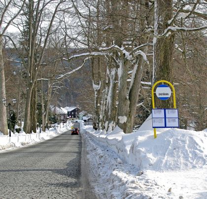 Zimní záběry autobusů. Tentokrát v Jeseníkách s logem Veolie Transport