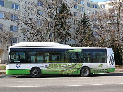 19 nových nízkopodlažních autobusů Irisbus Citelis na CNG v Trnavě 