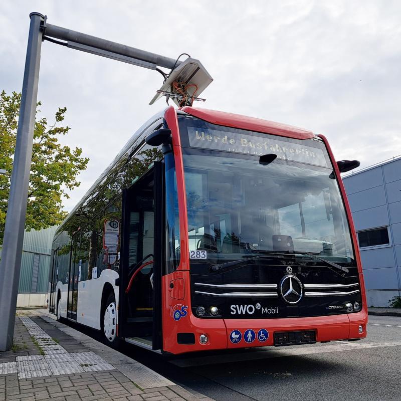  Osnabrück a nová eCitara