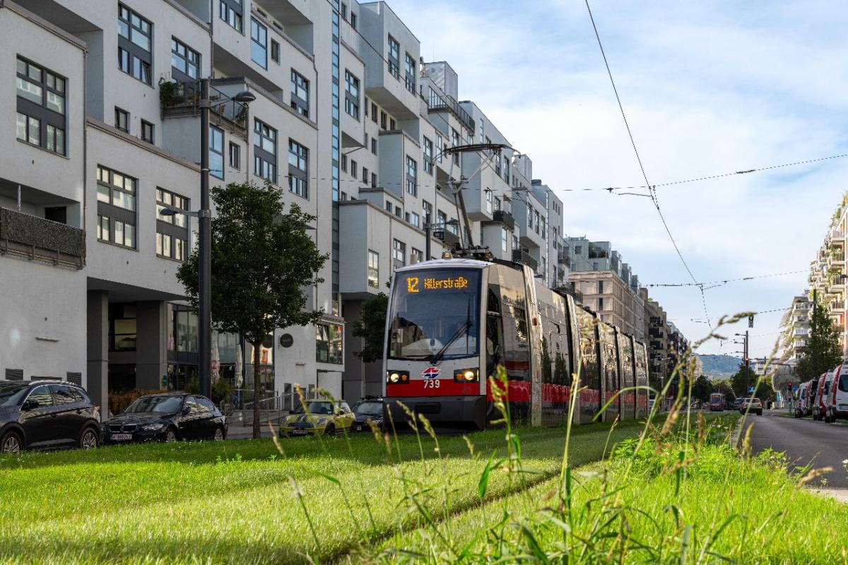 Vídeň rozšiřuje zelené koleje, i Praha počítá se sukulenty
